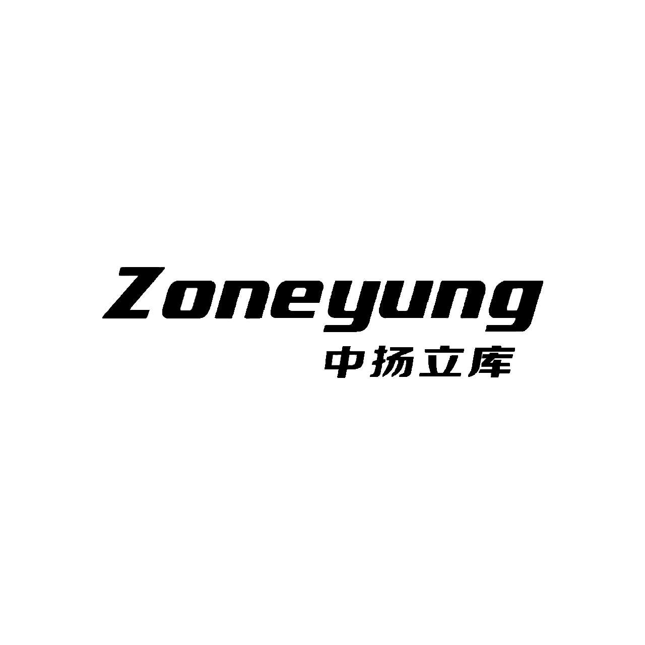 浙江中扬立库技术有限公司