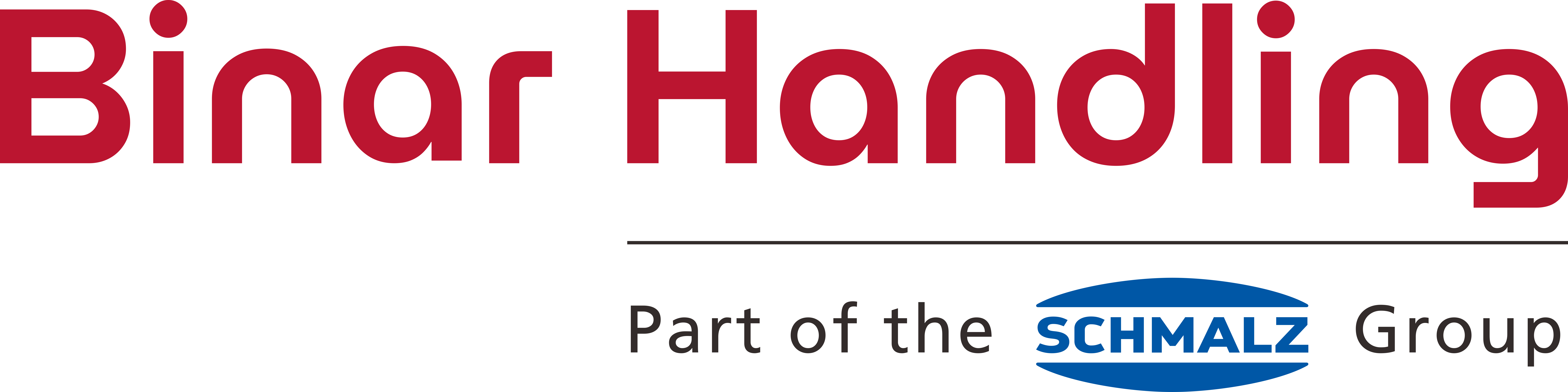 Binar Handling （Shanghai）Co.Ltd